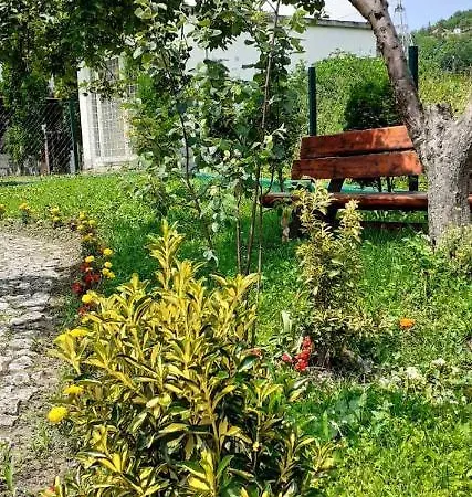 Panonika Pansion Lägenhet Tuzla